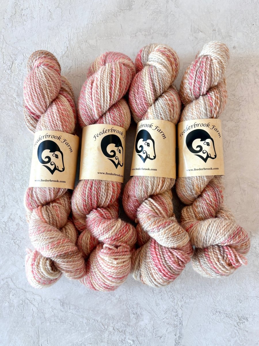 Feederbrook Farm | Variegated | Wool | DK (Multiple Colors) - Made X Hudson