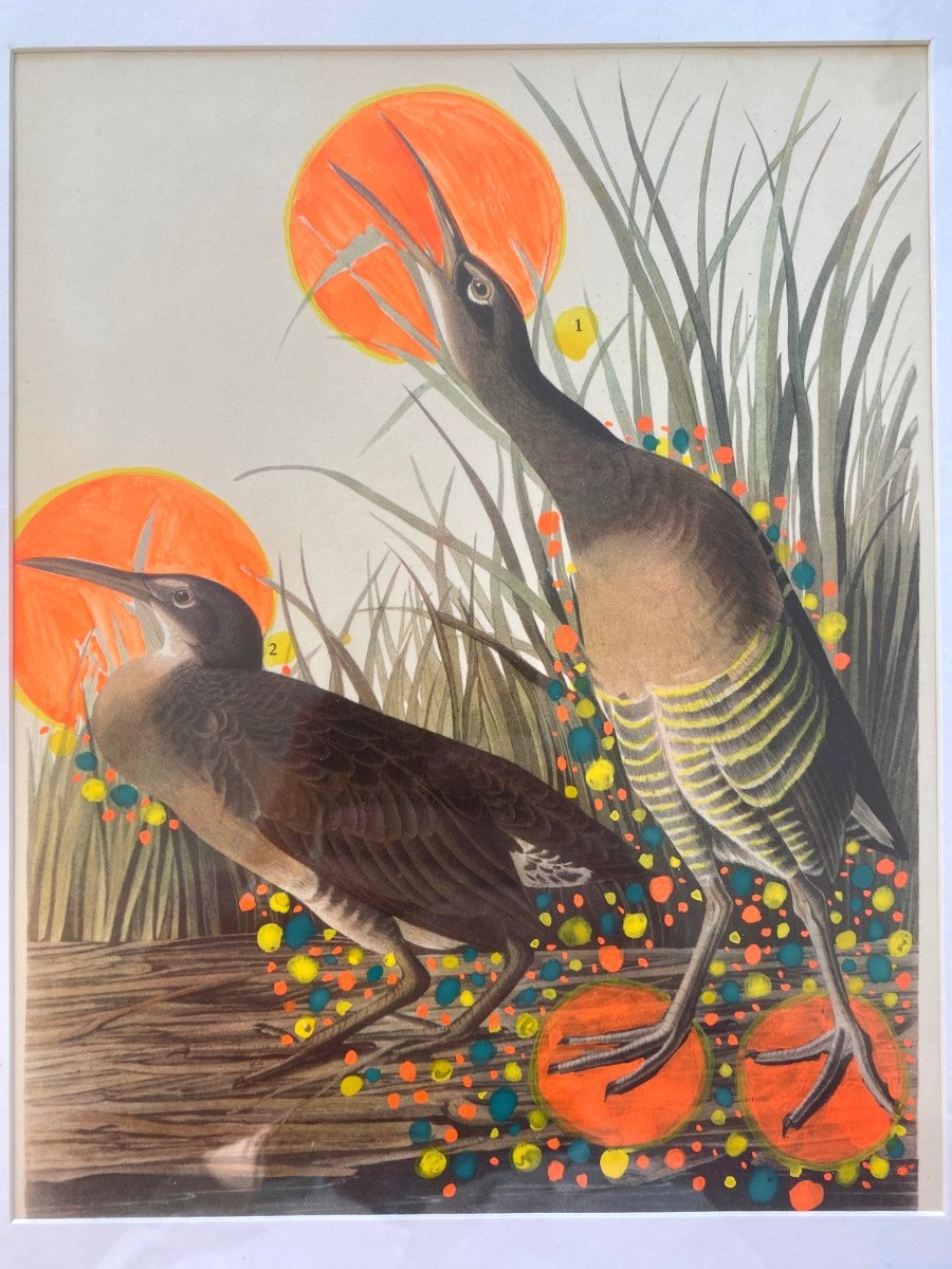 Life in the Tall Grass - Made X Hudson