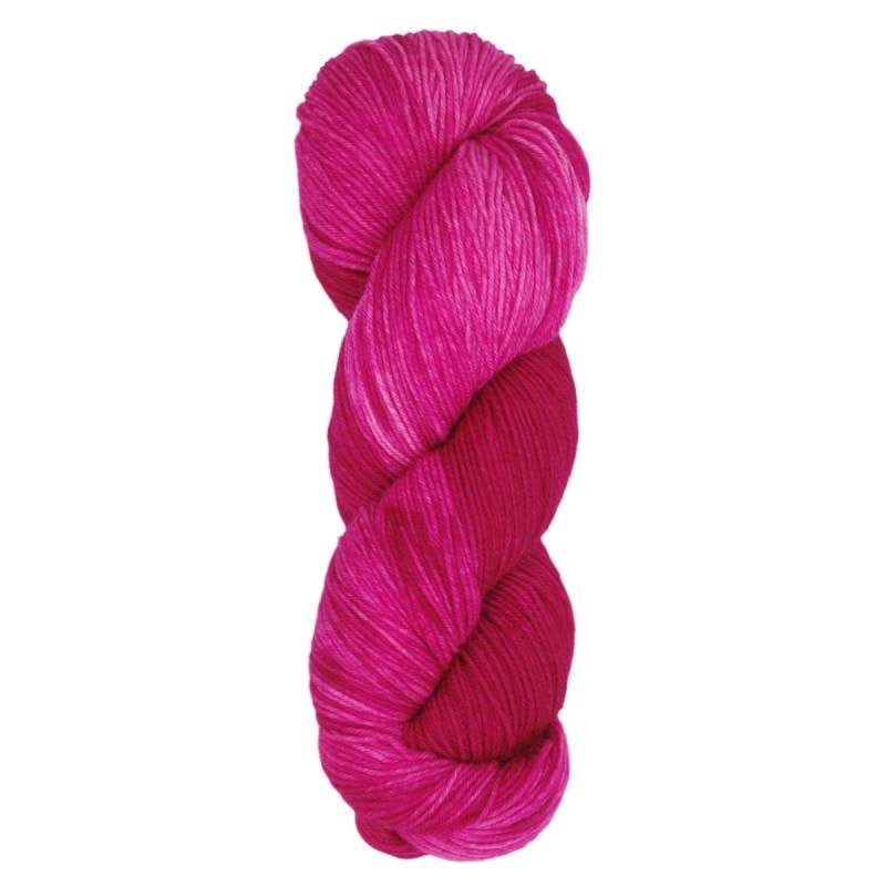 Araucania Huasco Sock Yarn | 75% Wool, 25% Nylon | Fine (Multiple Colors) - Made X Hudson