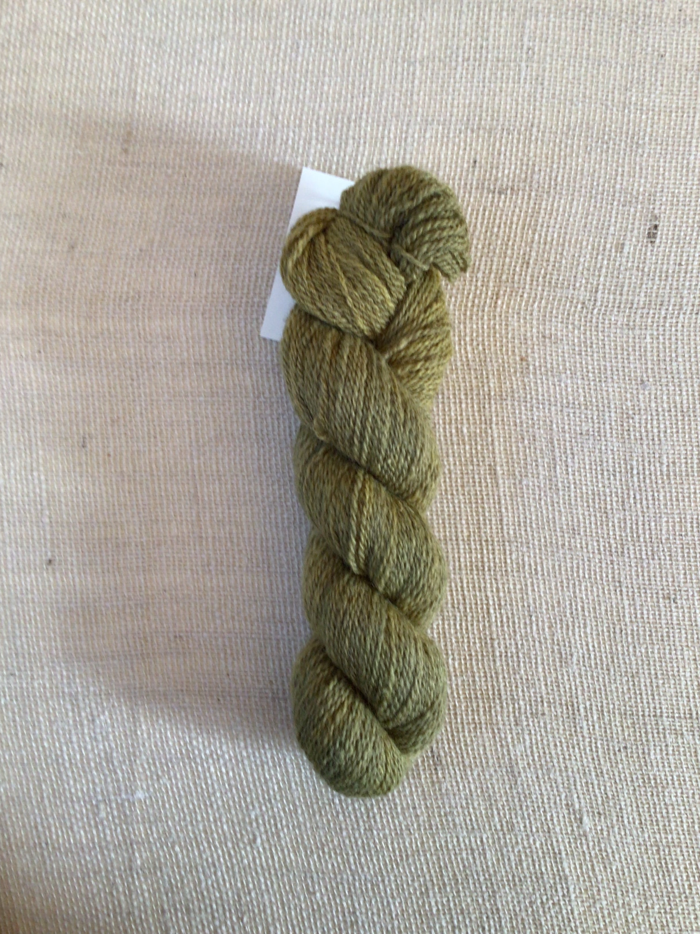 A skein of moss green yarn sits on a neutral canvas background