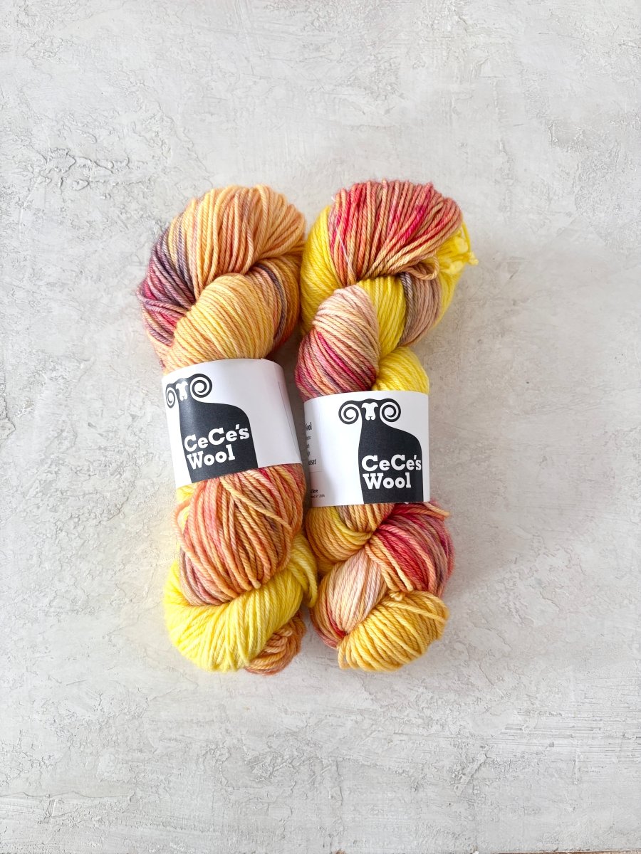 CeCe's Wool Variegated | Superwash Merino | Worsted (Multiple Colors) - Made X Hudson