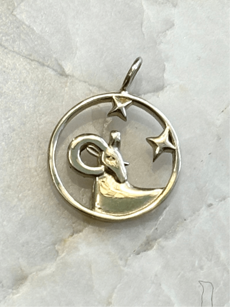 Vintage Inspired Zodiac Charms - Made X Hudson