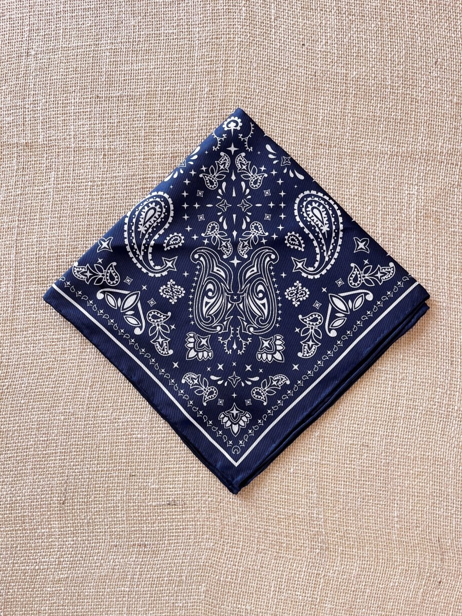 Silk Bandana (Multiple Colors) - Made X Hudson