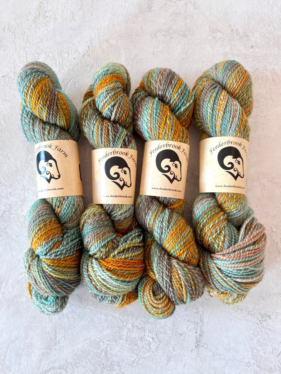 Feederbrook Farm | Variegated | Wool | DK (Multiple Colors) - Made X Hudson