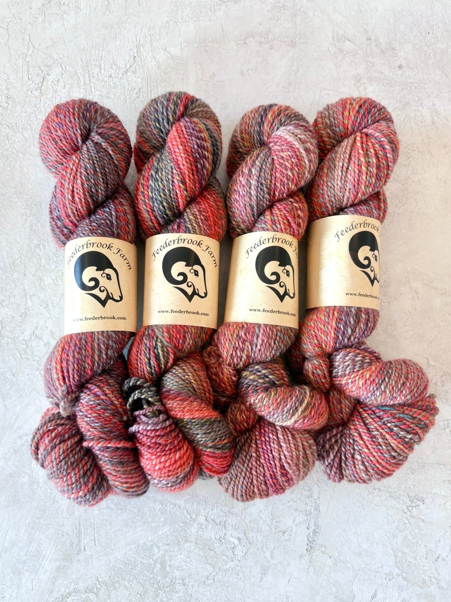 Feederbrook Farm | Variegated | Wool | DK (Multiple Colors) - Made X Hudson