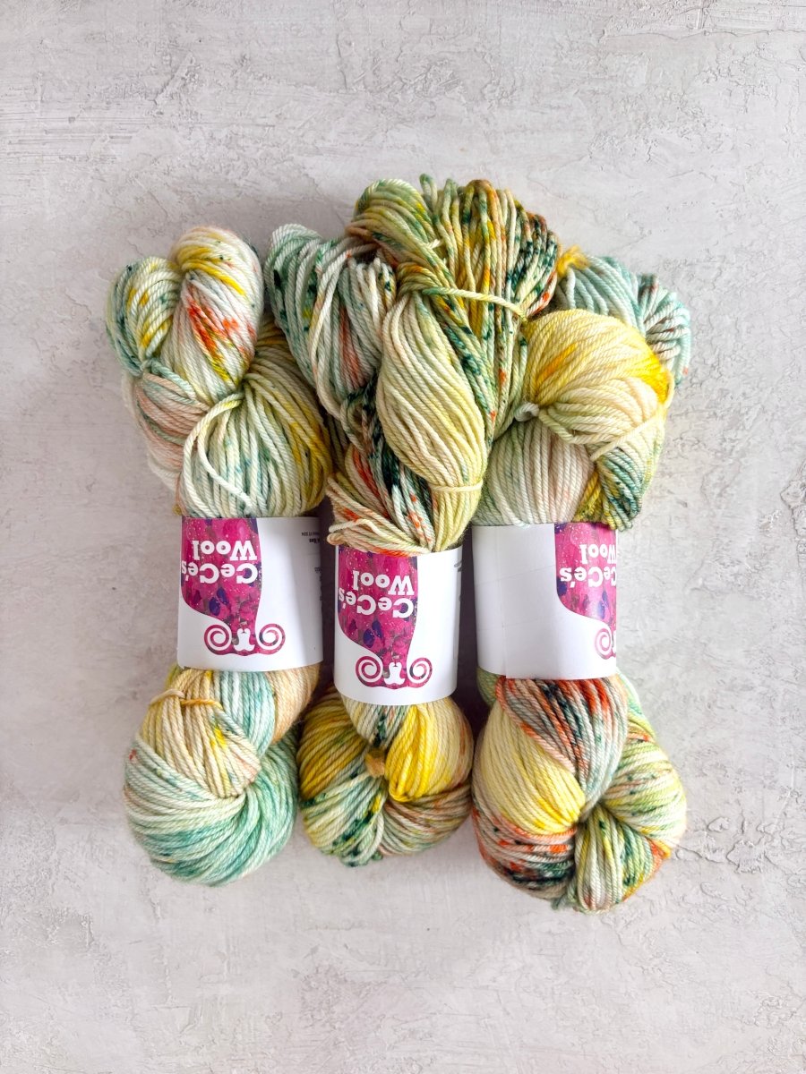 CeCe's Wool Variegated | Superwash Merino | Worsted (Multiple Colors) - Made X Hudson