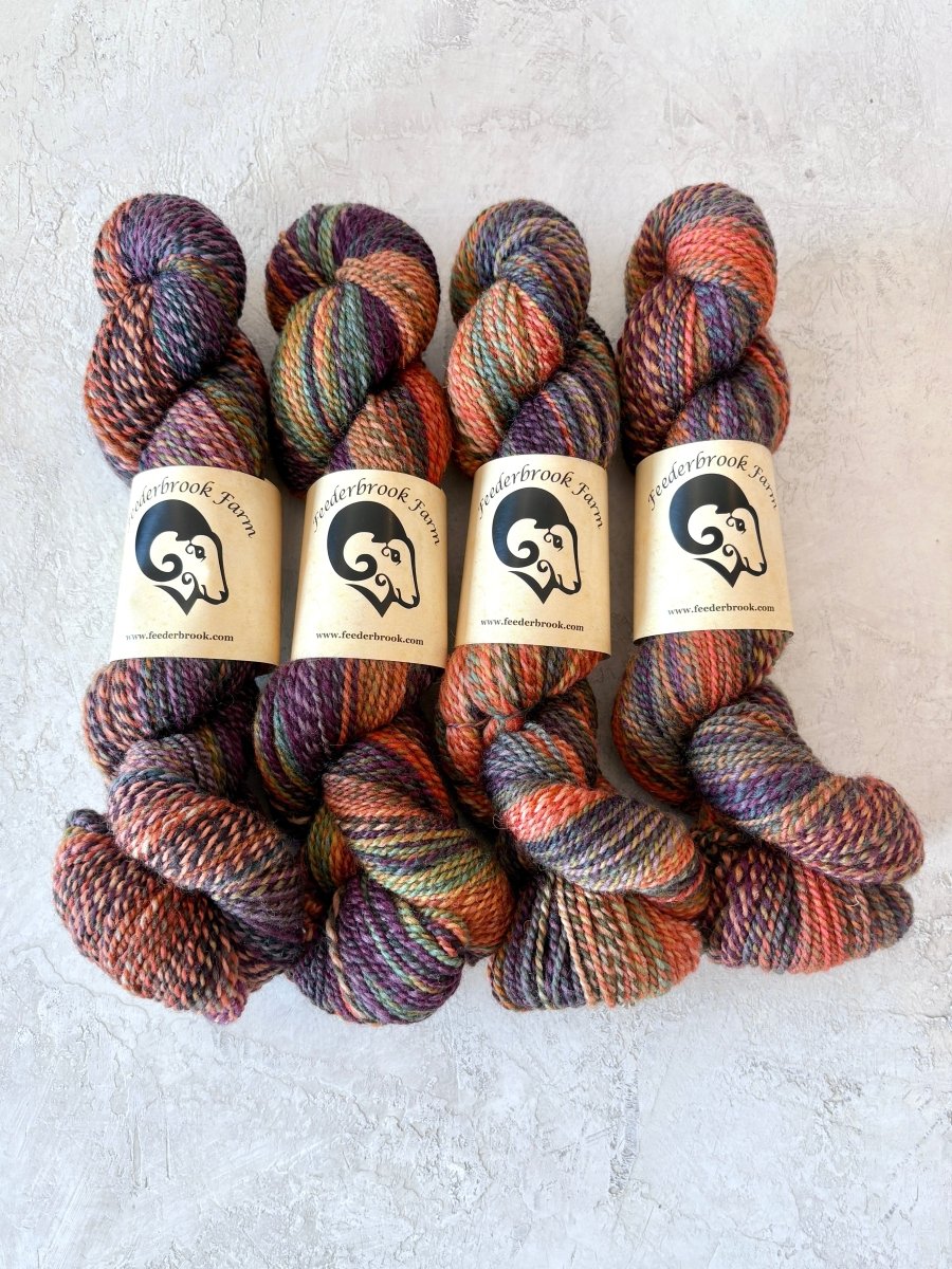 Feederbrook Farm | Variegated | Wool | DK (Multiple Colors) - Made X Hudson