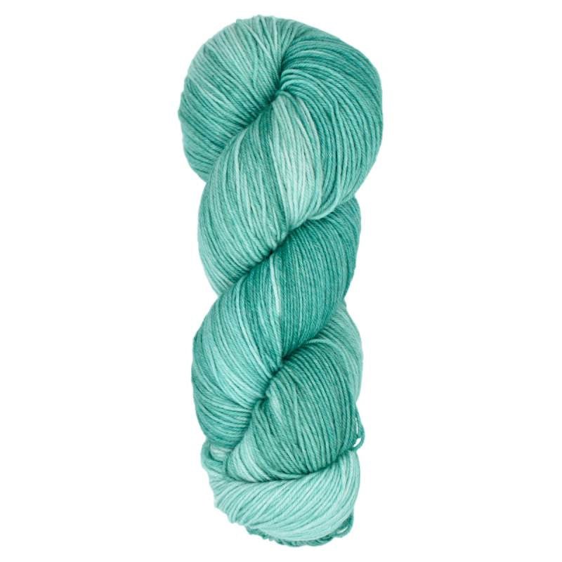 Araucania Huasco Sock Yarn | 75% Wool, 25% Nylon | Fine (Multiple Colors) - Made X Hudson