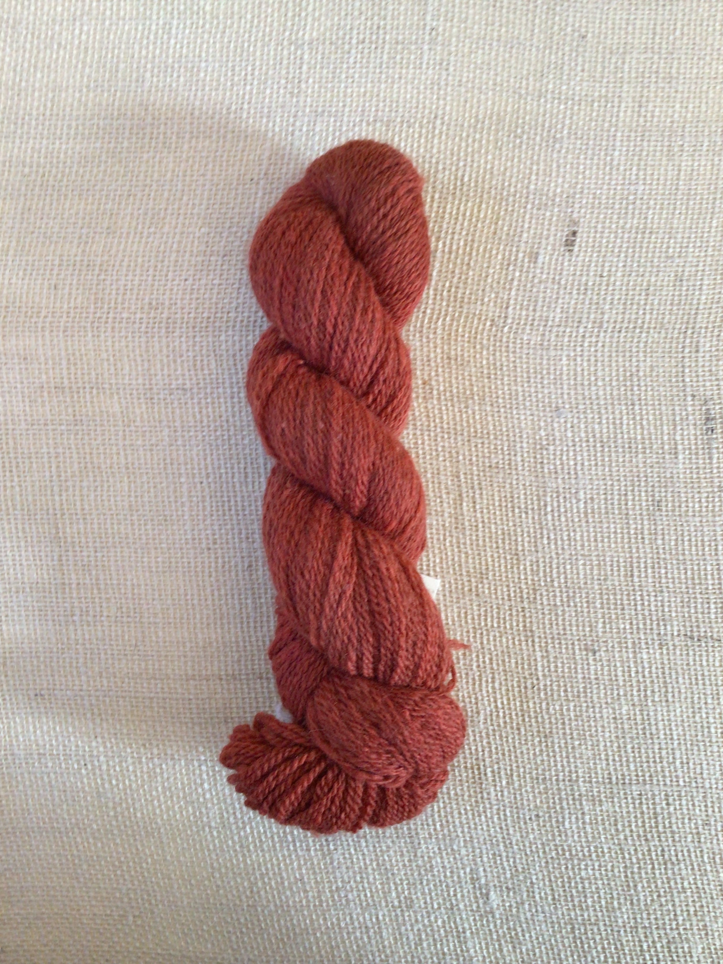 A skein of orange red yarn sits on a neutral canvas background
