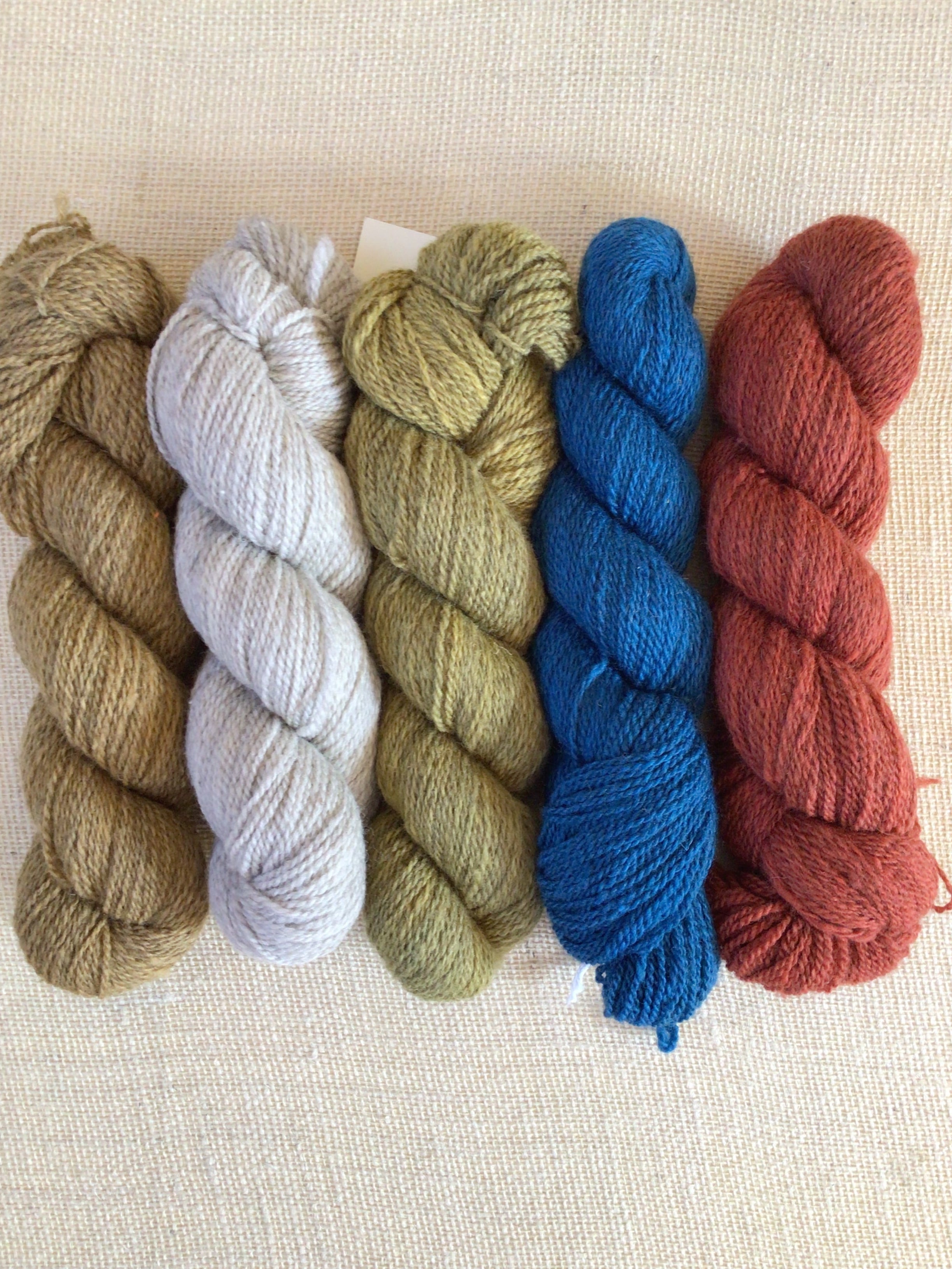 A row of five skeins of yarn sit on a neutral canvas. The yarn colors are mustard brown, white, moss green, bright blue, and an orange red.
