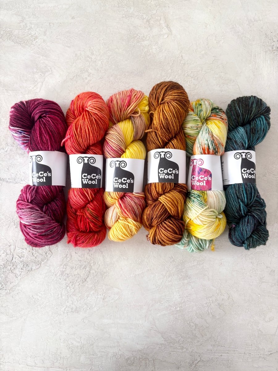 CeCe's Wool Variegated | Superwash Merino | Worsted (Multiple Colors) - Made X Hudson