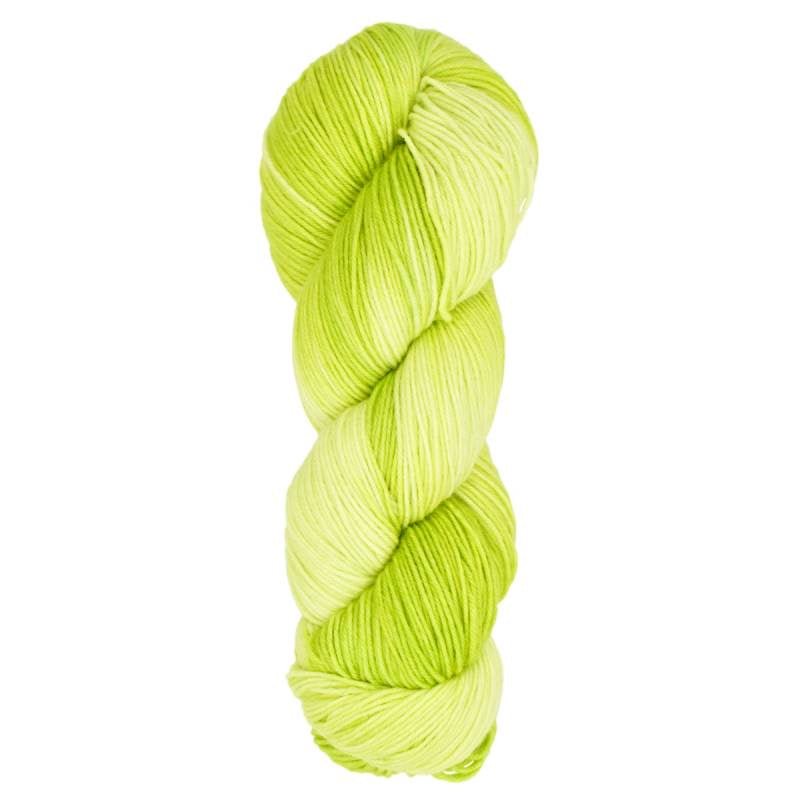 Araucania Huasco Sock Yarn | 75% Wool, 25% Nylon | Fine (Multiple Colors) - Made X Hudson