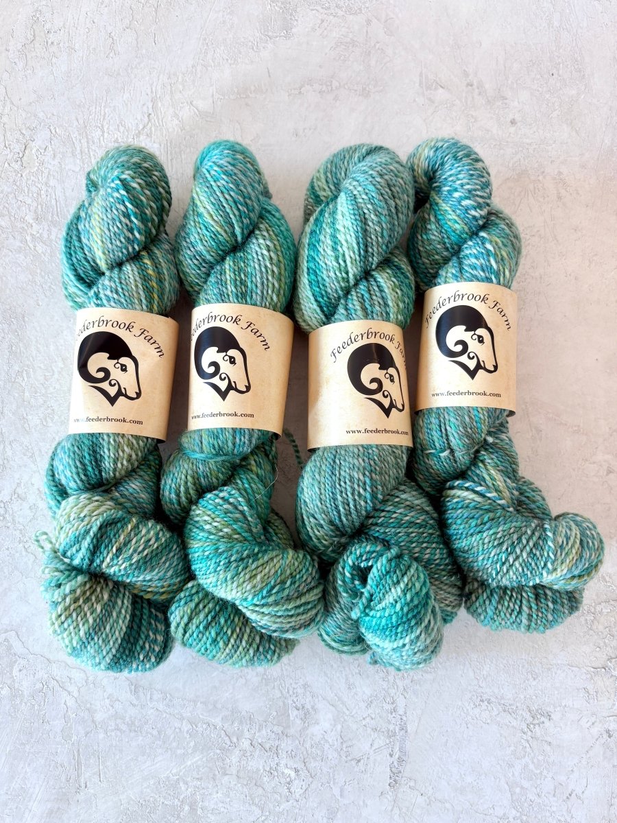Feederbrook Farm | Variegated | Wool | DK (Multiple Colors) - Made X Hudson