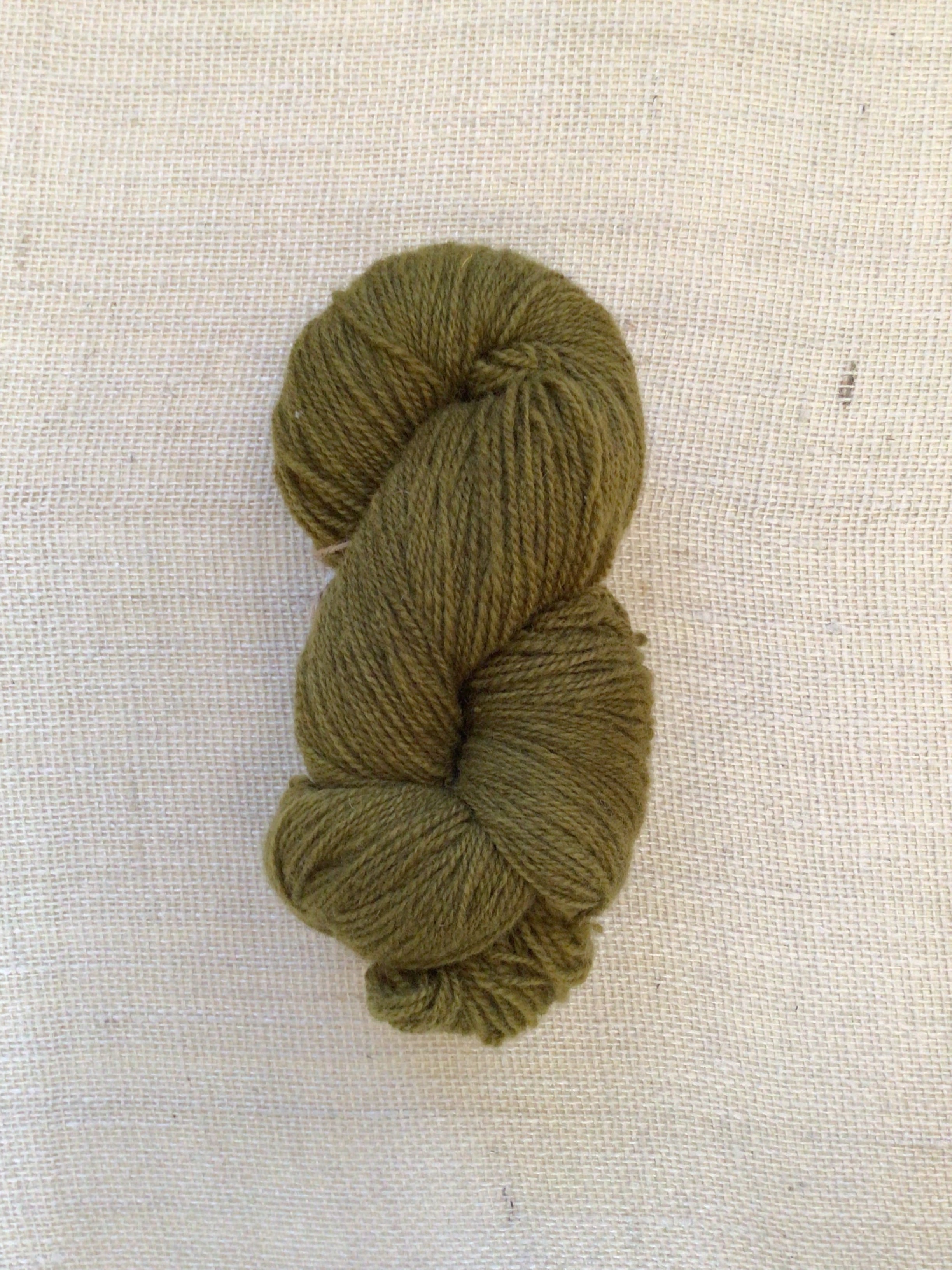 A skein of moss green yarn sits on a neutral canvas background
