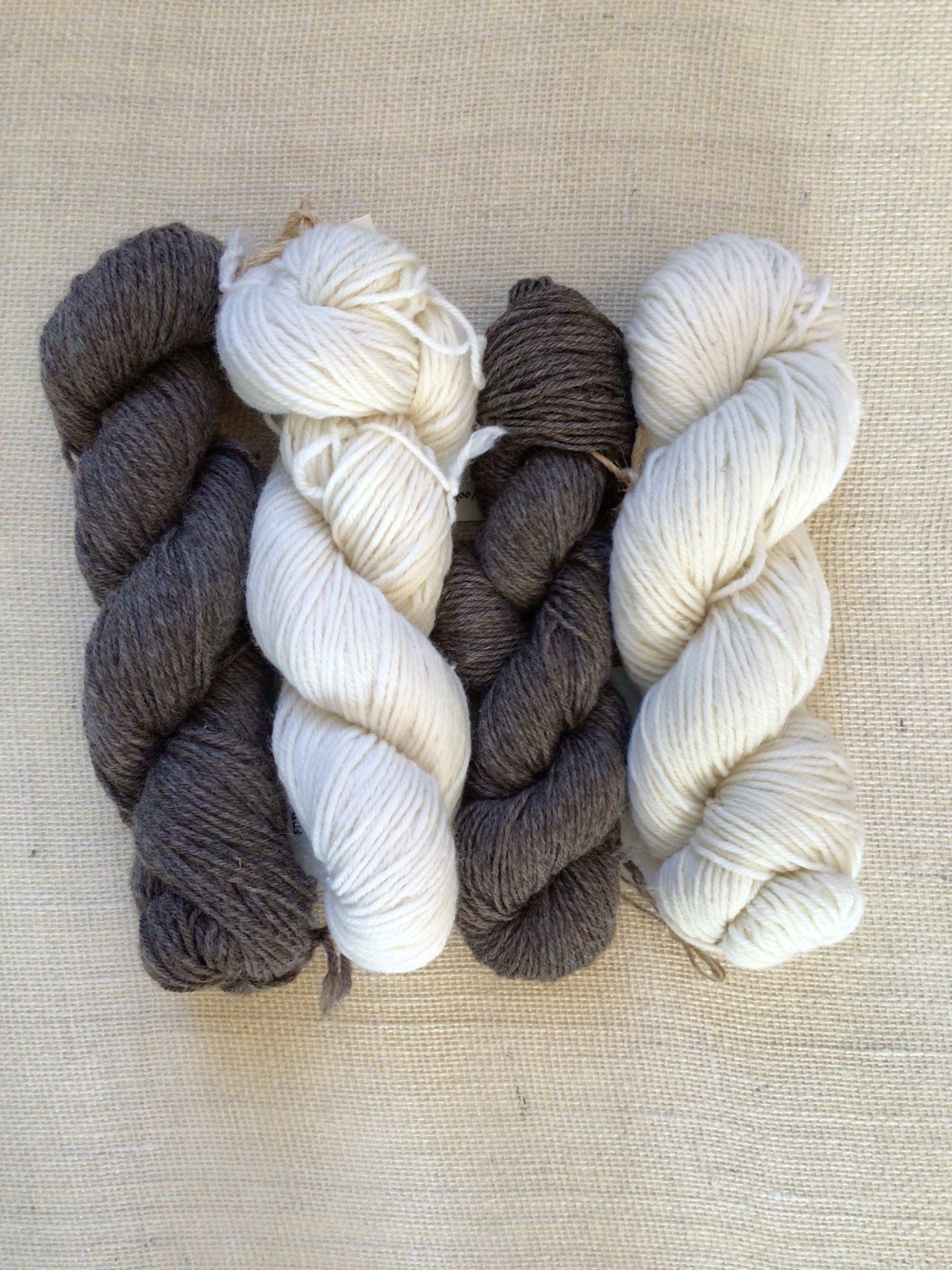Four skeins of yarn are laying on a neutral canvas background. The skeins of yarn alternate in colors, brown, white, brown, white.
