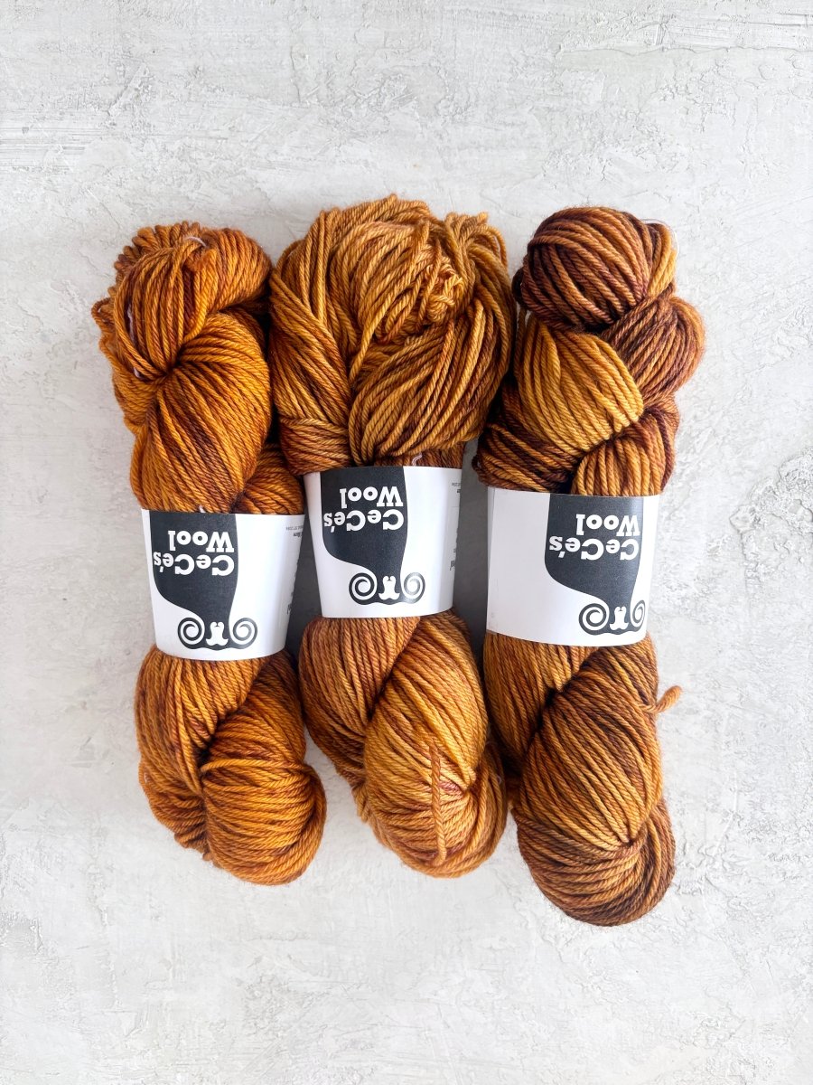 CeCe's Wool Variegated | Superwash Merino | Worsted (Multiple Colors) - Made X Hudson
