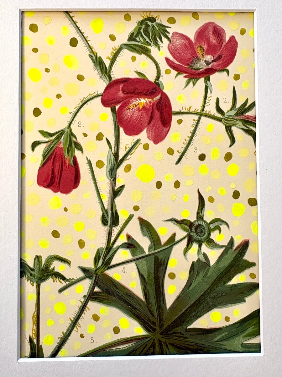 Wild Red Whimsical Hibiscus - Made X Hudson