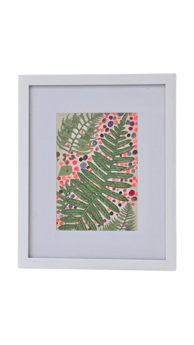 Floursecent Fern - Made X Hudson