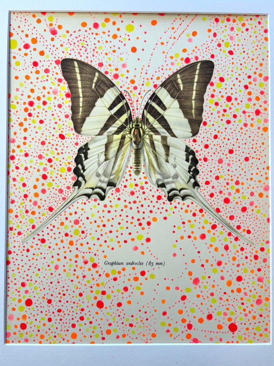 Butterfly Pink Explosion - Made X Hudson