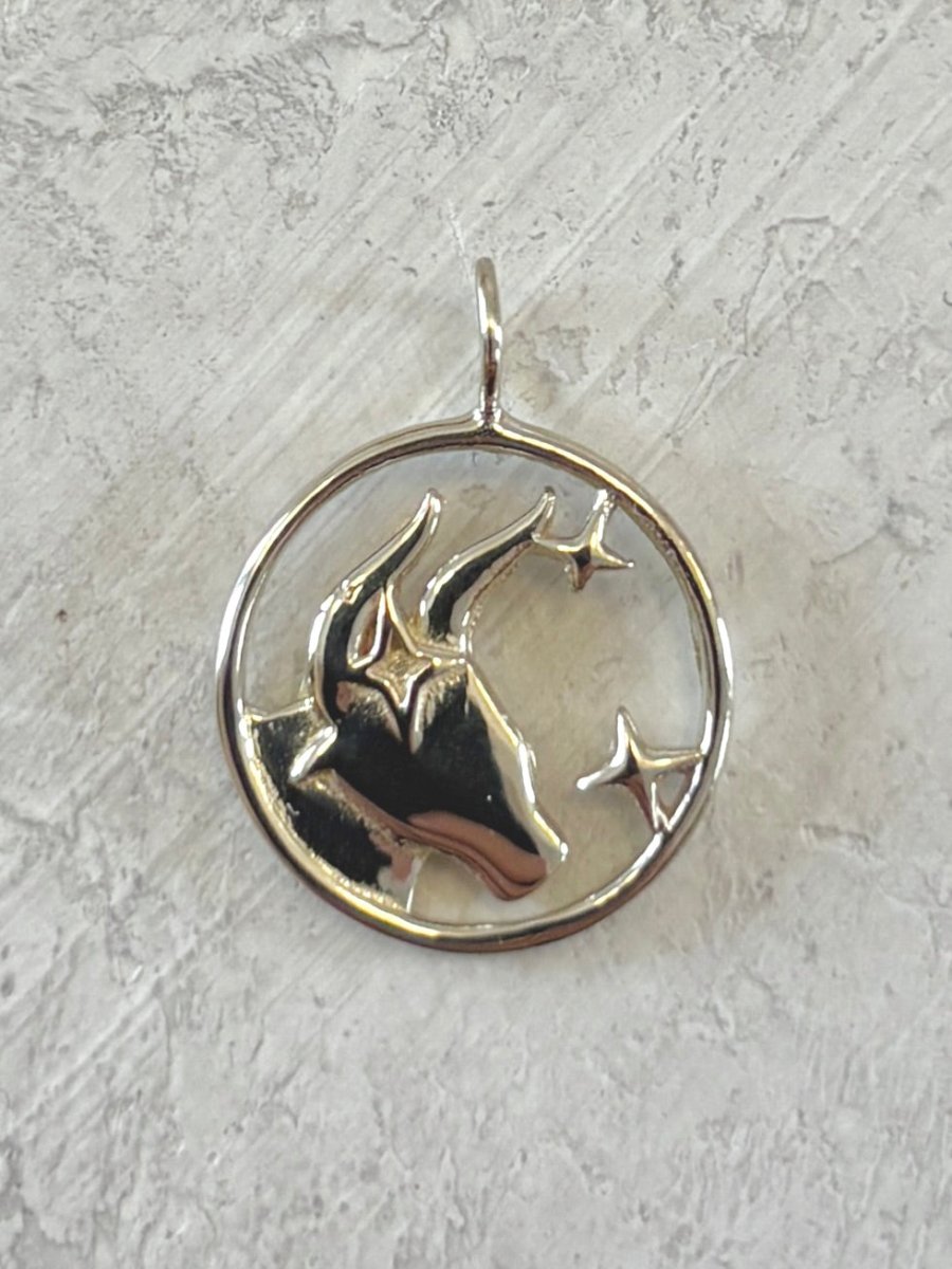 Vintage Inspired Zodiac Charms - Made X Hudson