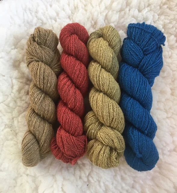 Four skeins of colored yarn sit on a white wool background. The yarn colors are mustard brown, orange red, moss green, and bright blue