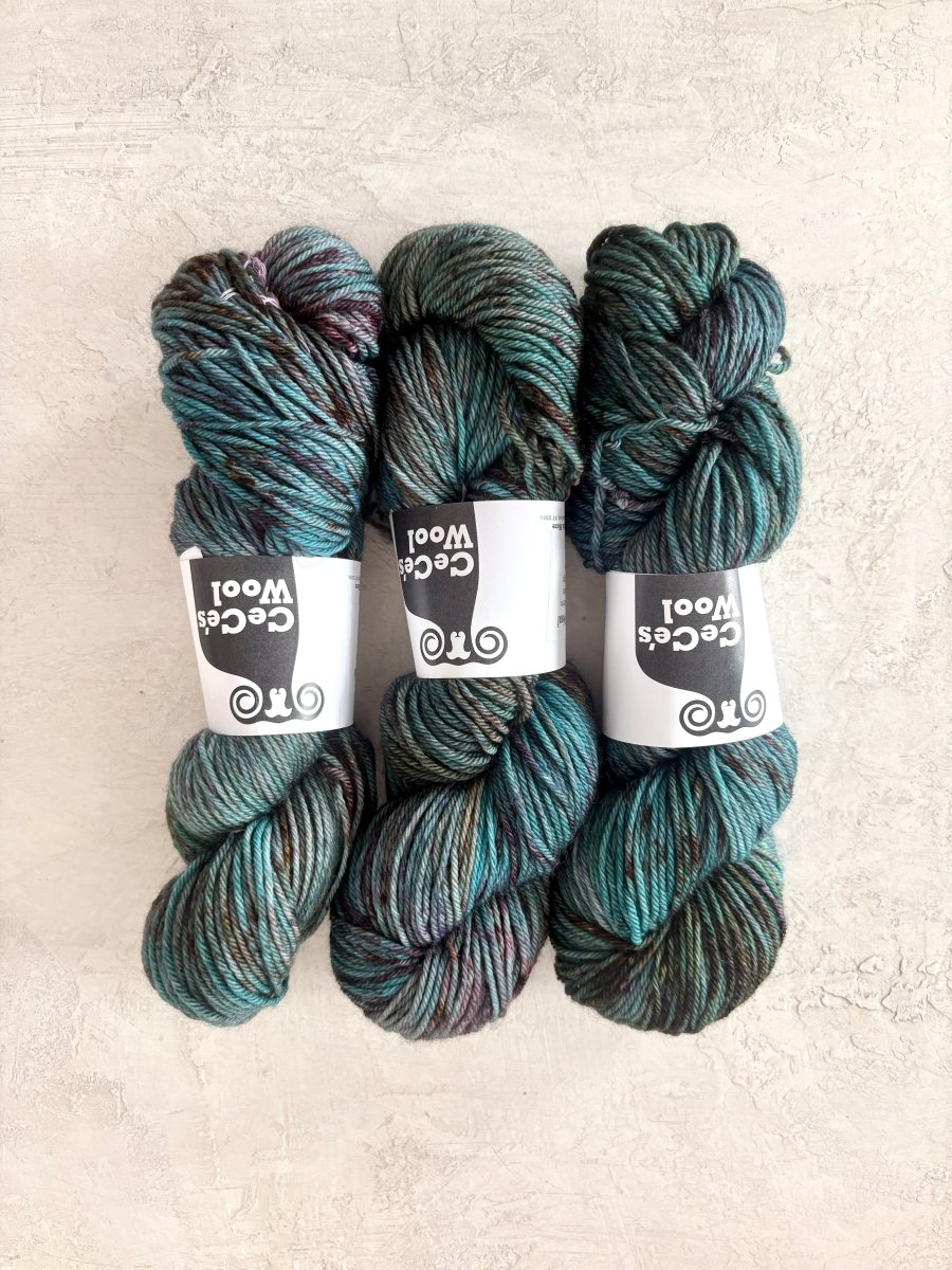 CeCe's Wool Variegated | Superwash Merino | Worsted (Multiple Colors) - Made X Hudson