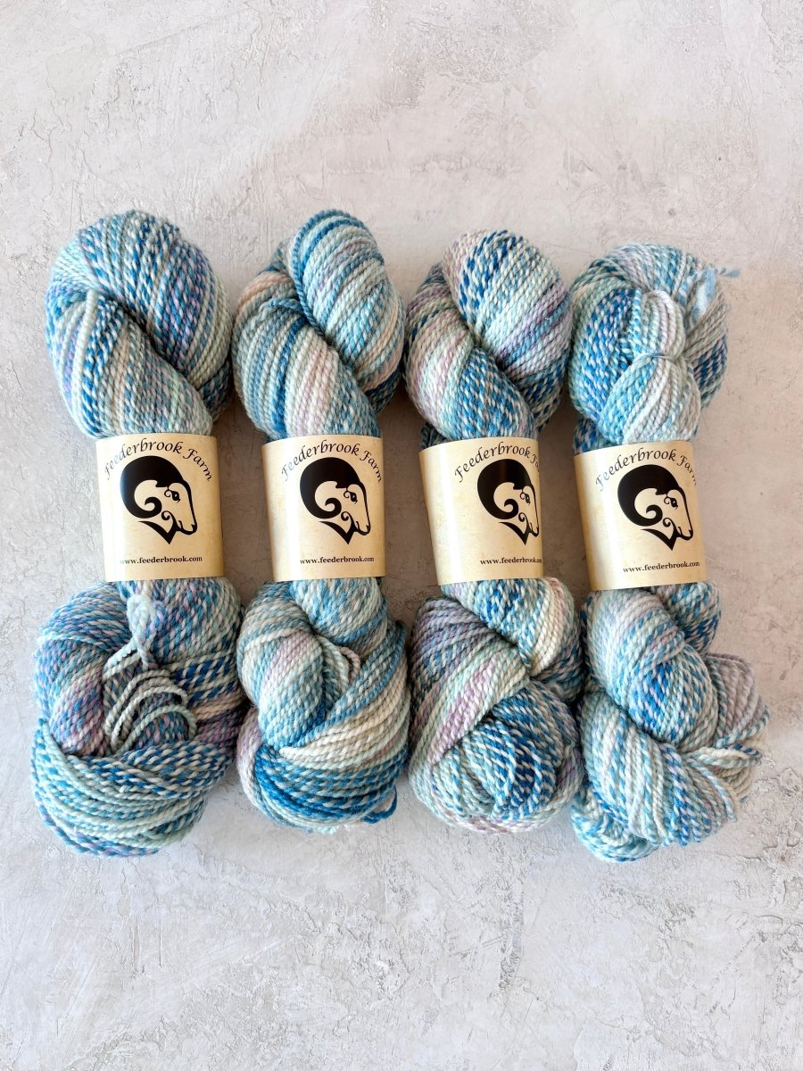 Feederbrook Farm | Variegated | Wool | DK (Multiple Colors) - Made X Hudson
