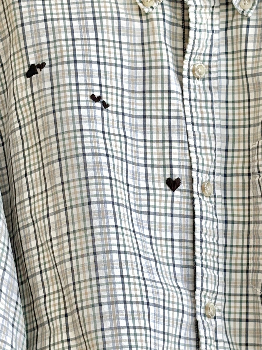 Sage Green Plaid Embroidered Black Hearts Cropped Annette Top (Reworked) - Made X Hudson