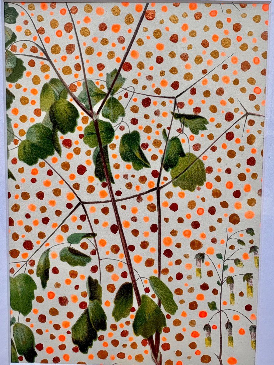 Windsome Fern Bleeding Heart with Shades of Orange - Made X Hudson