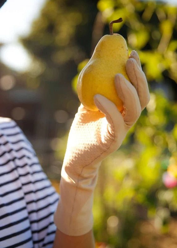 Pinenut Midrise Gardening Gloves w/ Grip Palm - Made X Hudson