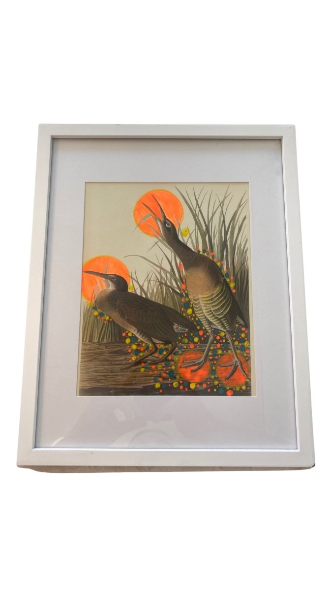 Life in the Tall Grass - Made X Hudson