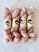 Feederbrook Farm | Variegated | Wool | DK (Multiple Colors) - Made X Hudson