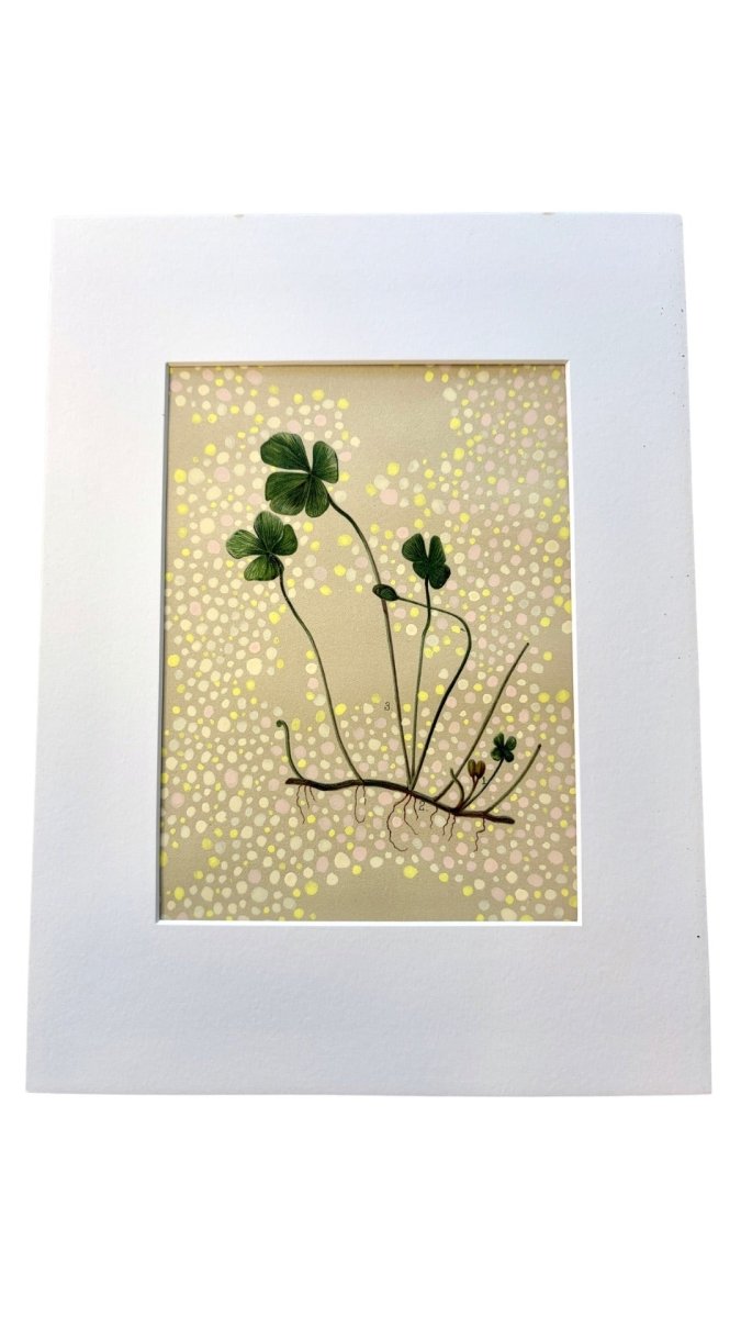 Uprooted Clover - Made X Hudson