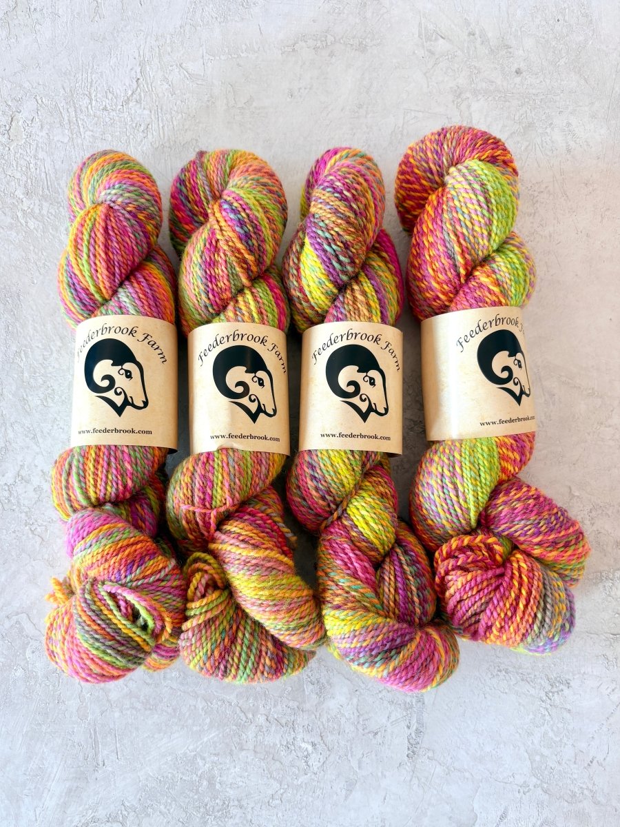 Feederbrook Farm | Variegated | Wool | DK (Multiple Colors) - Made X Hudson