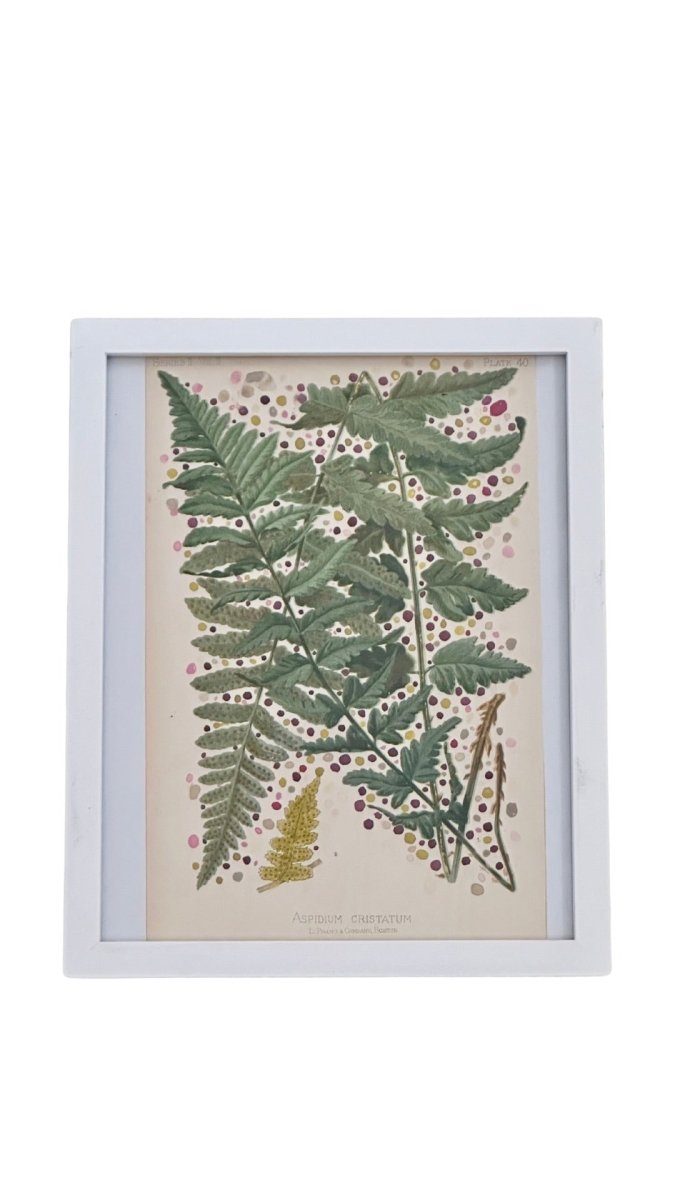 Green & Gold Fern - Made X Hudson