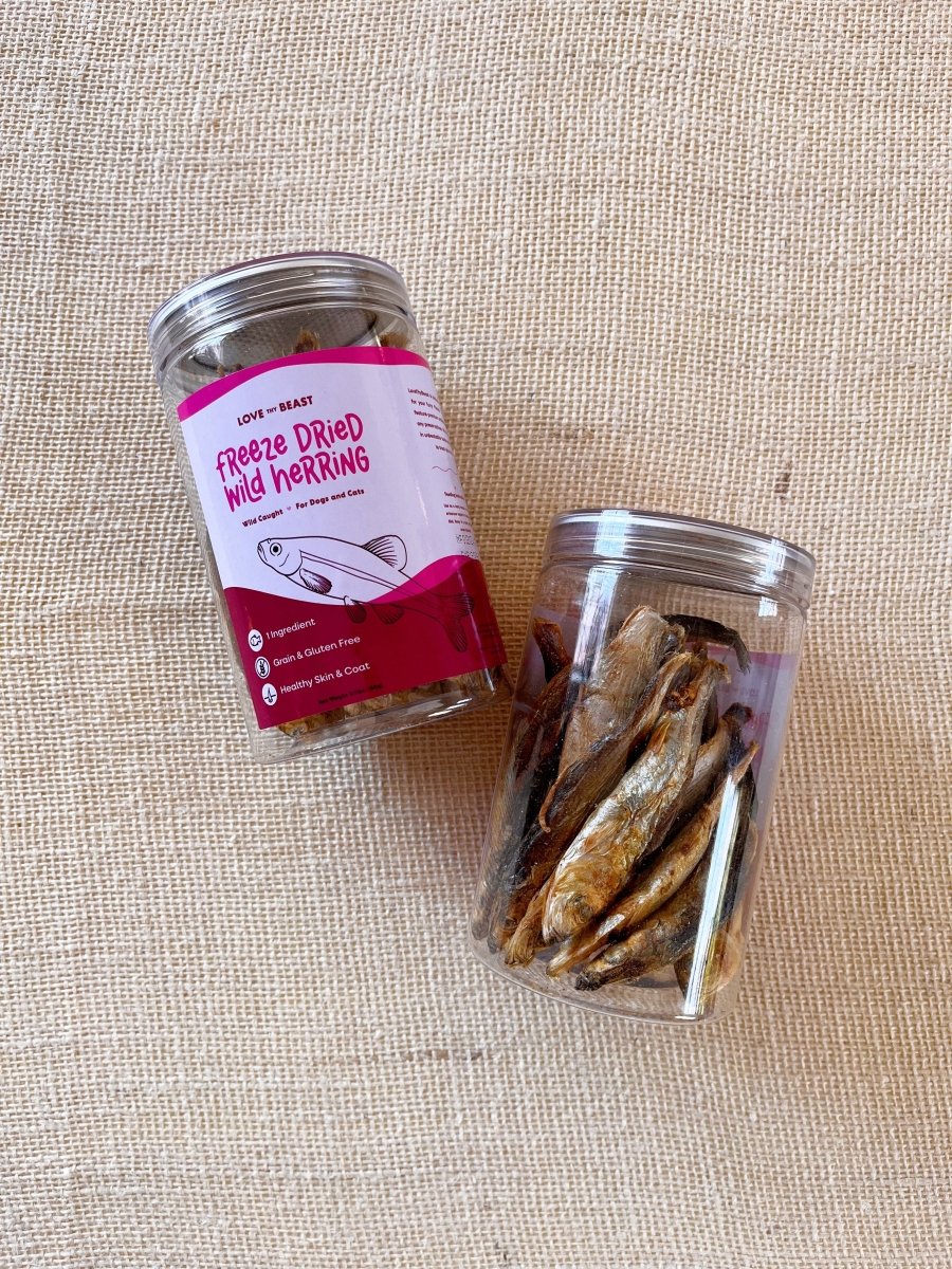 Freeze Dried Wild Herring - Made X Hudson