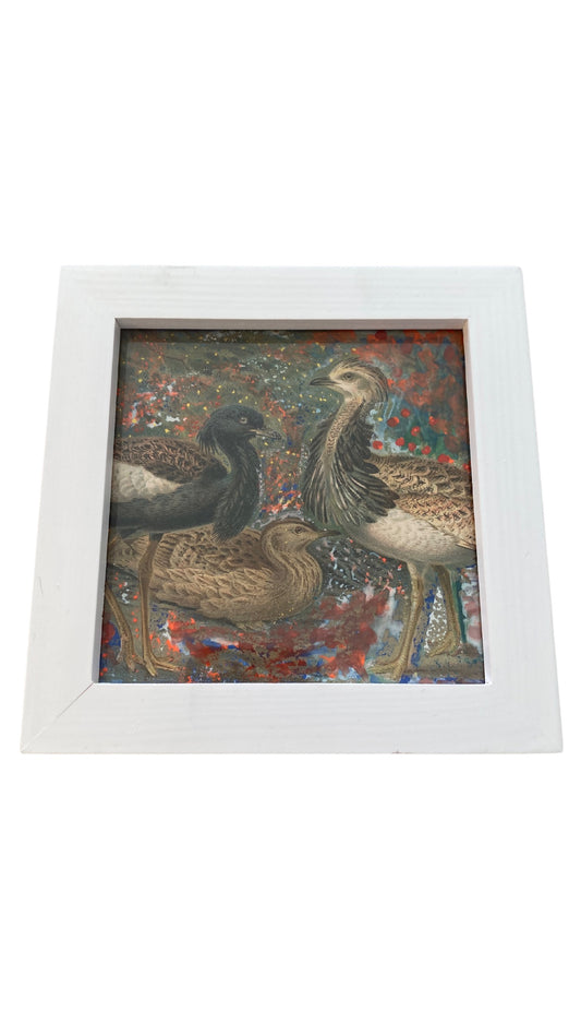 Square Framed Bird Art