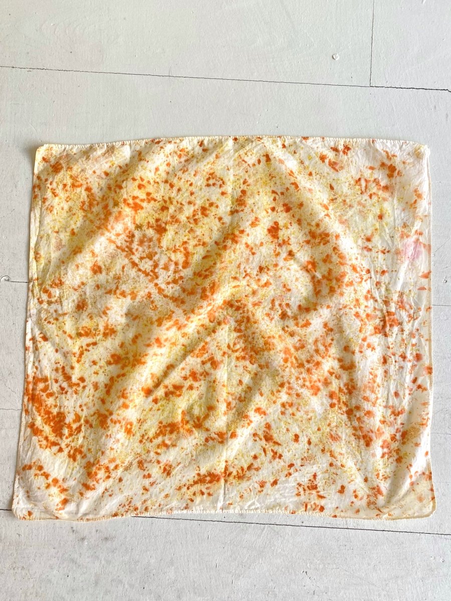 Sulfur Cosmos Yellow Onions Orange Osage - Made X Hudson