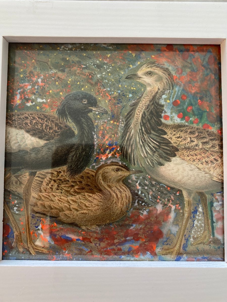 Square Framed Bird Art - Made X Hudson