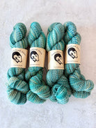 Feederbrook Farm | Variegated | Wool | DK (Multiple Colors) - Made X Hudson