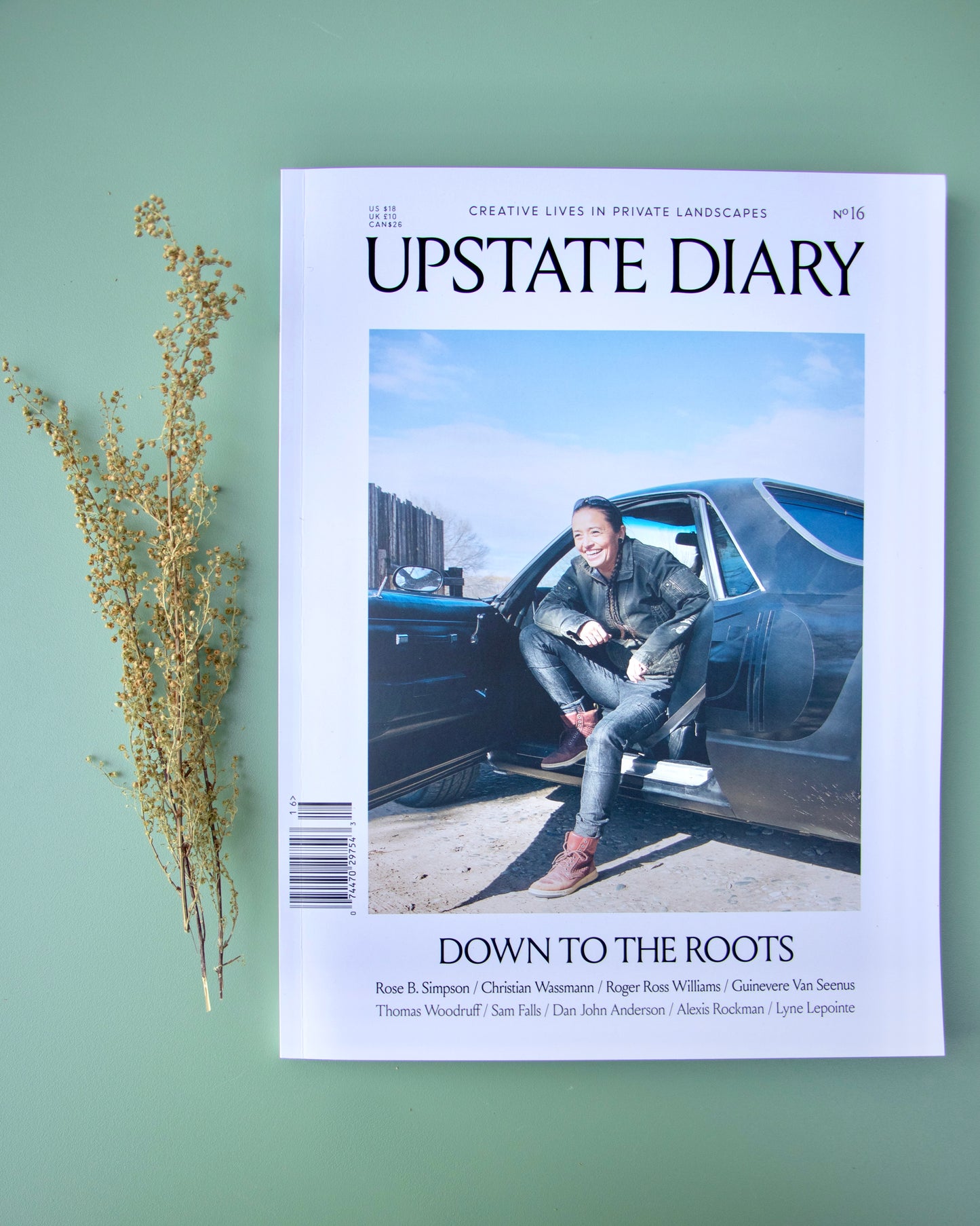 Upstate Diary