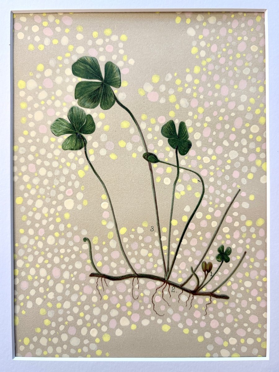 Uprooted Clover - Made X Hudson