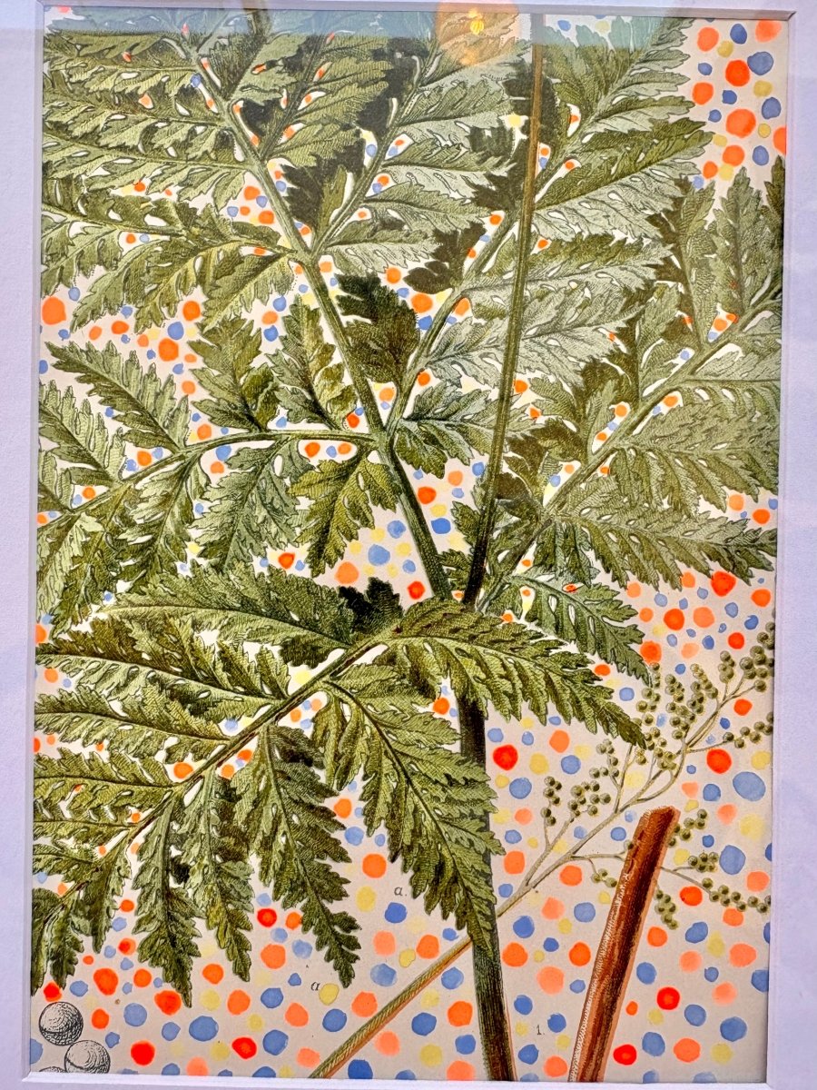 Fallen Fern Leaf with Orange and Blue - Made X Hudson