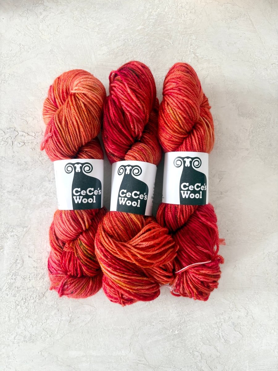 CeCe's Wool Variegated | Superwash Merino | Worsted (Multiple Colors) - Made X Hudson