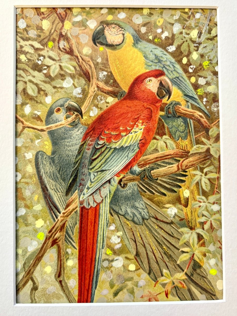 3 Parrots On A Limb - Made X Hudson