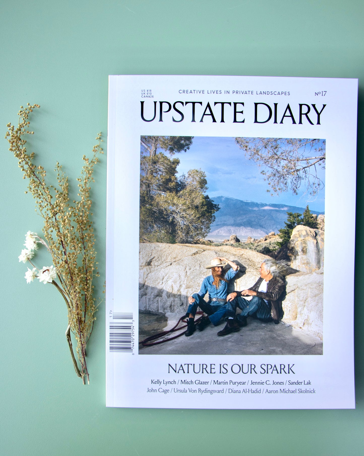 Upstate Diary