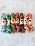 Feederbrook Farm | Variegated | Wool | DK (Multiple Colors) - Made X Hudson