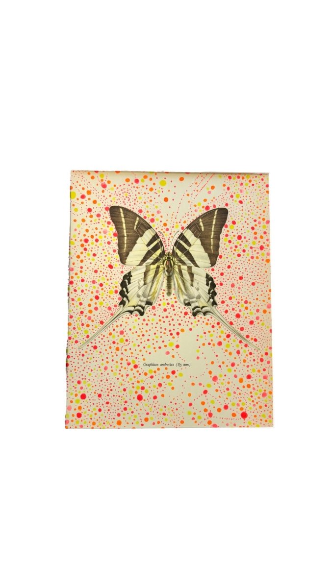 Butterfly Pink Explosion - Made X Hudson
