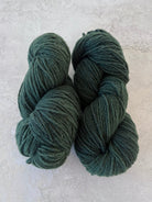 Nor’Easter Yarn | 40% Targhee, 40% Polypay, 20% Silk | DK 2 PLY (Multiple Colors) - Made X Hudson