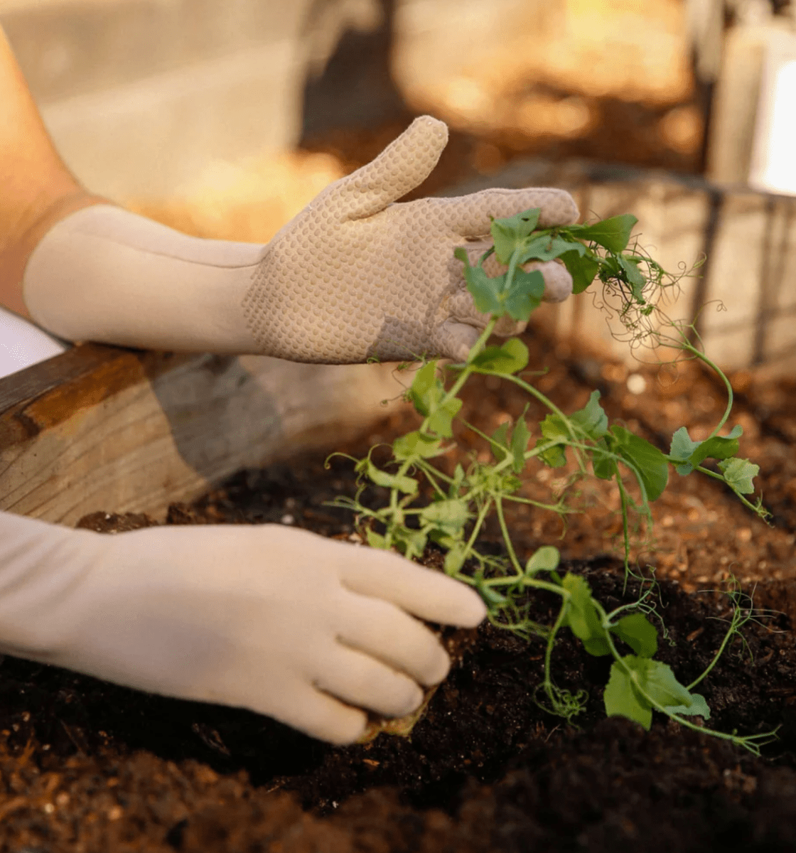 Pinenut High Rise Gardening Gloves w/ Grip Palm - Made X Hudson